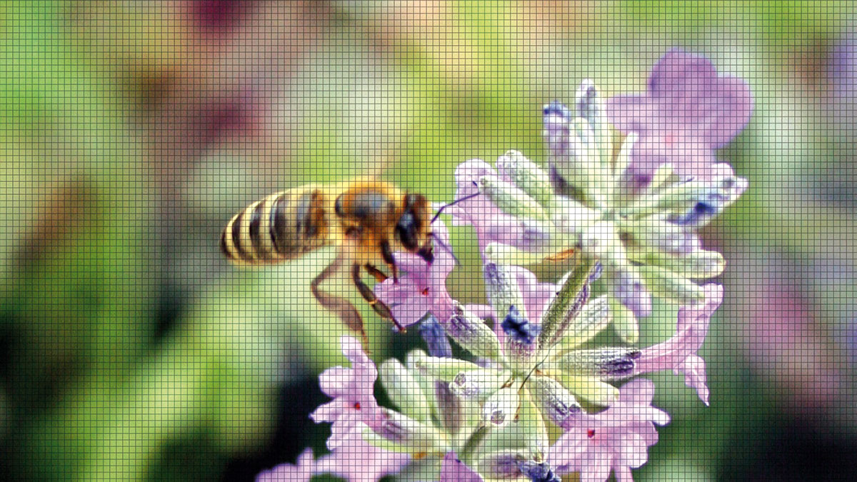 ALUKON Insektenschutz